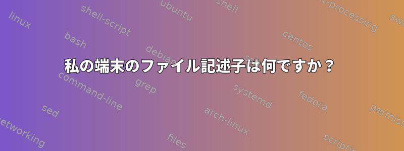 私の端末のファイル記述子は何ですか？