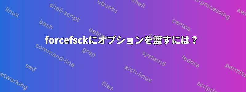 forcefsckにオプションを渡すには？