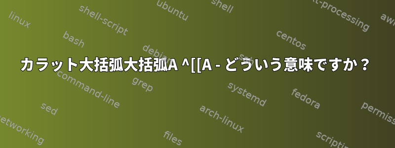 カラット大括弧大括弧A ^[[A - どういう意味ですか？