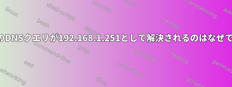 すべてのDNSクエリが192.168.1.251として解決されるのはなぜですか？