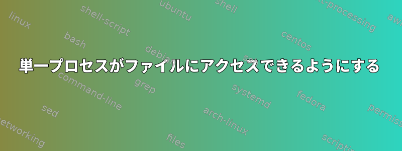 単一プロセスがファイルにアクセスできるようにする