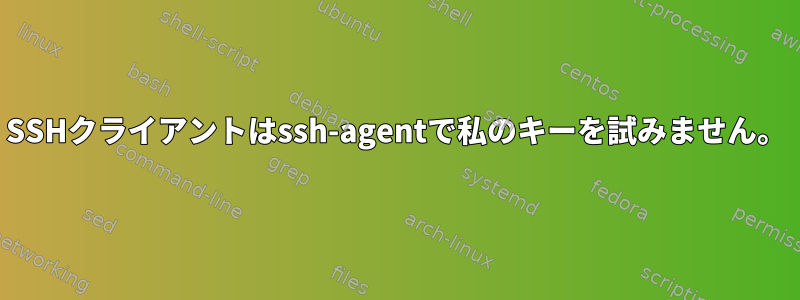 SSHクライアントはssh-agentで私のキーを試みません。