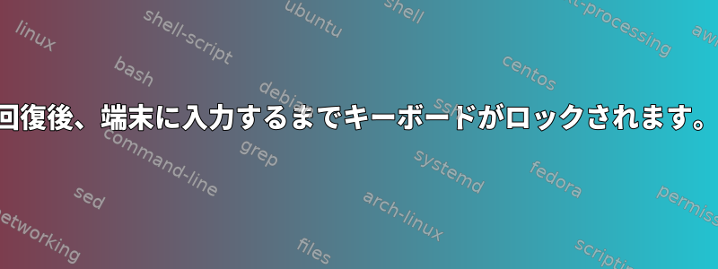 回復後、端末に入力するまでキーボードがロックされます。