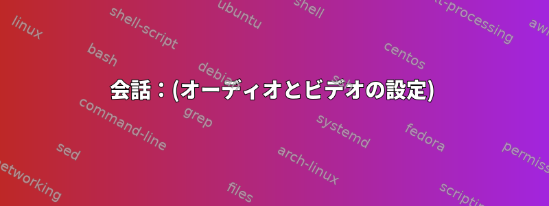 会話：(オーディオとビデオの設定)