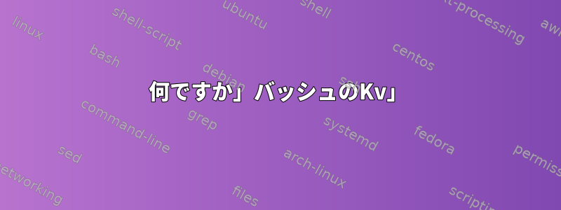 何ですか」バッシュのKv」