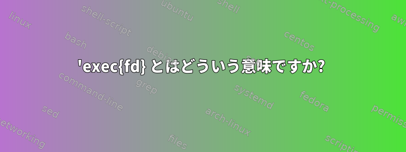 'exec{fd} とはどういう意味ですか?