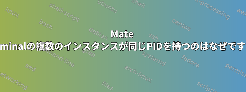 Mate Terminalの複数のインスタンスが同じPIDを持つのはなぜですか?