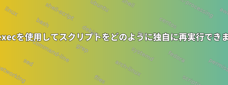 一部のexecを使用してスクリプトをどのように独自に再実行できますか？