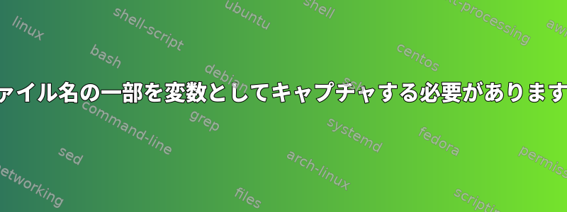 ファイル名の一部を変数としてキャプチャする必要があります。