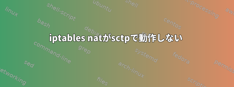 iptables natがsctpで動作しない