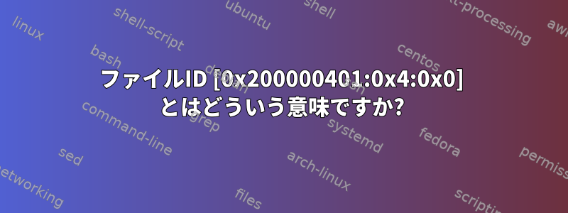 ファイルID [0x200000401:0x4:0x0] とはどういう意味ですか?