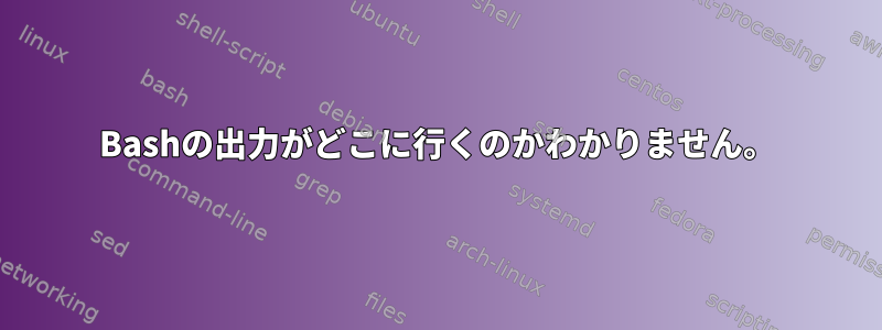 Bashの出力がどこに行くのかわかりません。