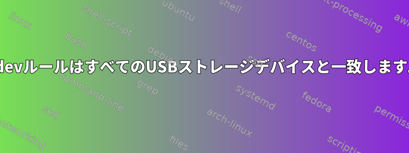 UdevルールはすべてのUSBストレージデバイスと一致します。