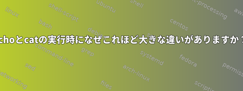 echoとcatの実行時になぜこれほど大きな違いがありますか？