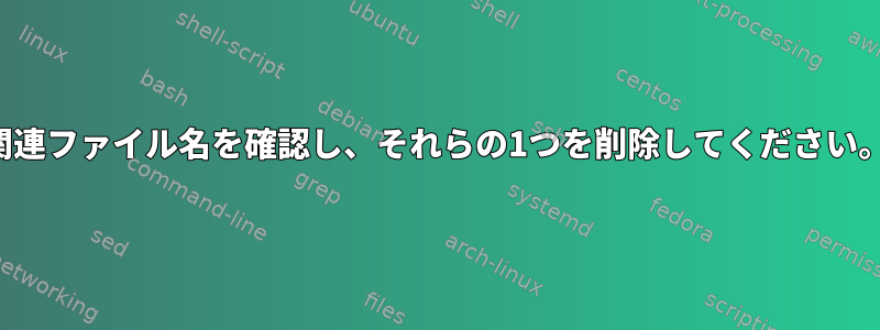 関連ファイル名を確認し、それらの1つを削除してください。