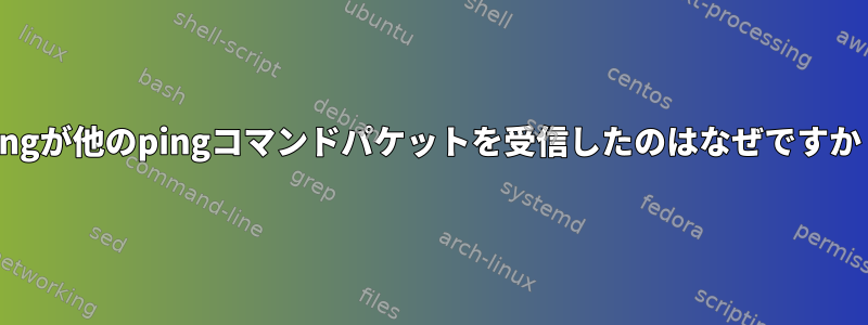 pingが他のpingコマンドパケットを受信したのはなぜですか？