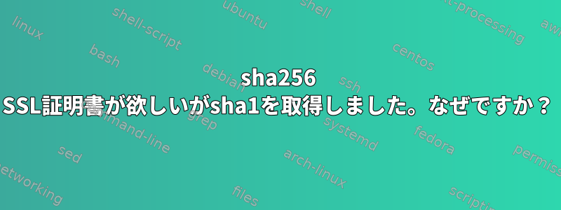 sha256 SSL証明書が欲しいがsha1を取得しました。なぜですか？