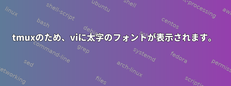 tmuxのため、viに太字のフォントが表示されます。