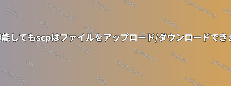 SSHが機能してもscpはファイルをアップロード/ダウンロードできません。