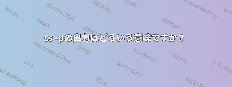 ss -pの出力はどういう意味ですか？