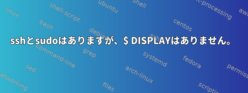 sshとsudoはありますが、$ DISPLAYはありません。