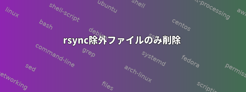 rsync除外ファイルのみ削除