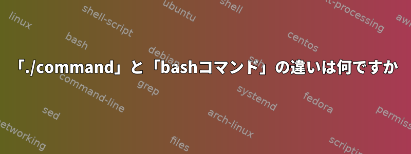 「./command」と「bashコマンド」の違いは何ですか