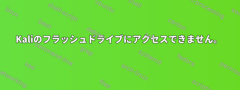 Kaliのフラッシュドライブにアクセスできません。