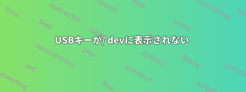 USBキーが/ devに表示されない