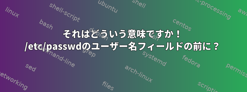 それはどういう意味ですか！ /etc/passwdのユーザー名フィールドの前に？