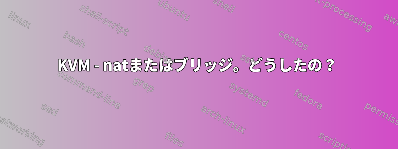 KVM - natまたはブリッジ。どうしたの？