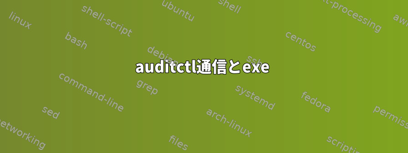 auditctl通信とexe