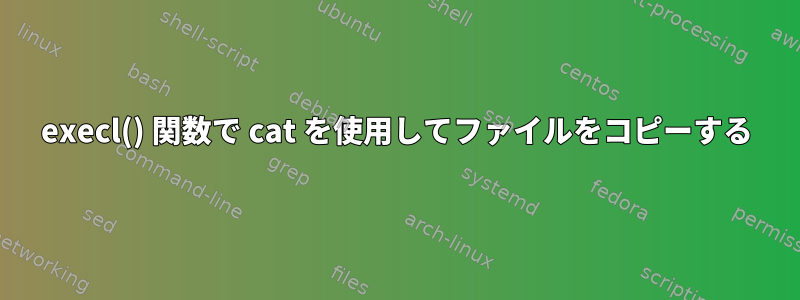 execl() 関数で cat を使用してファイルをコピーする