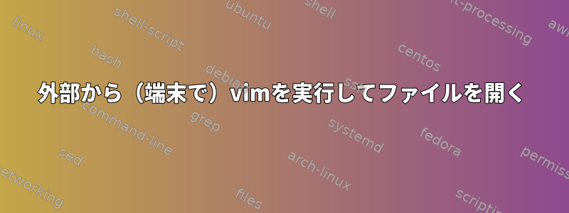 外部から（端末で）vimを実行してファイルを開く