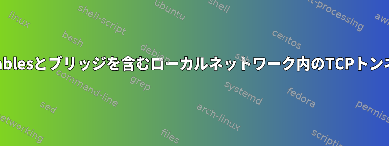 iptablesとブリッジを含むローカルネットワーク内のTCPトンネル