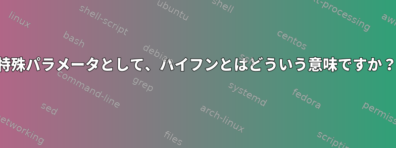 特殊パラメータとして、ハイフンとはどういう意味ですか？