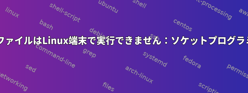 BashファイルはLinux端末で実行できません：ソケットプログラミング