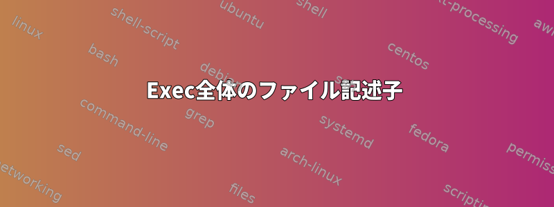 Exec全体のファイル記述子