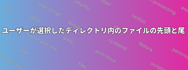 ユーザーが選択したディレクトリ内のファイルの先頭と尾