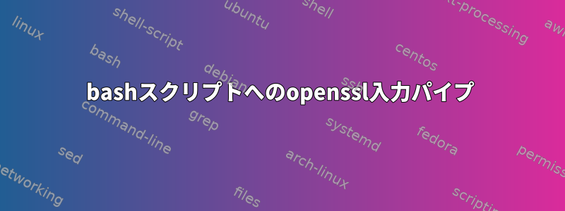 bashスクリプトへのopenssl入力パイプ