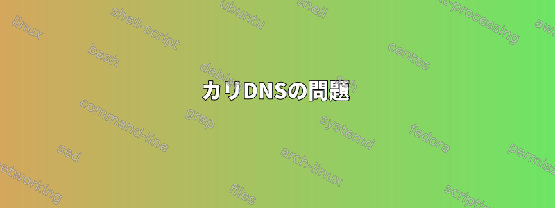 カリDNSの問題