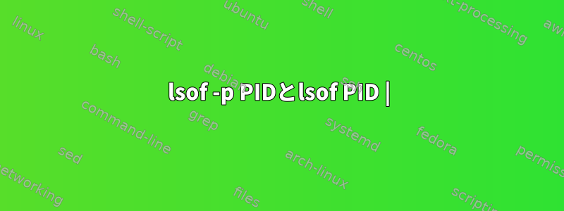 lsof -p PIDとlsof PID |