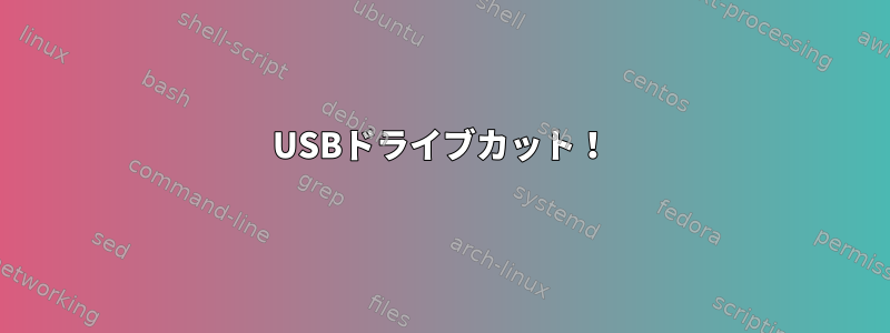 USBドライブカット！