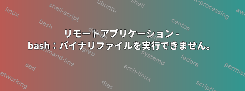 リモートアプリケーション - bash：バイナリファイルを実行できません。