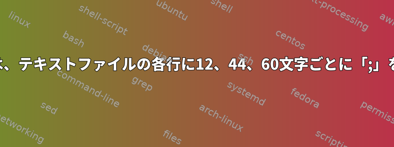 ファイル操作は、テキストファイルの各行に12、44、60文字ごとに「;」を挿入します。