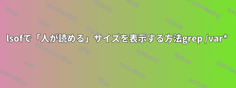 lsofで「人が読める」サイズを表示する方法grep /var*