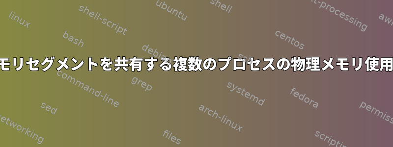 大規模メモリセグメントを共有する複数のプロセスの物理メモリ使用量の確認