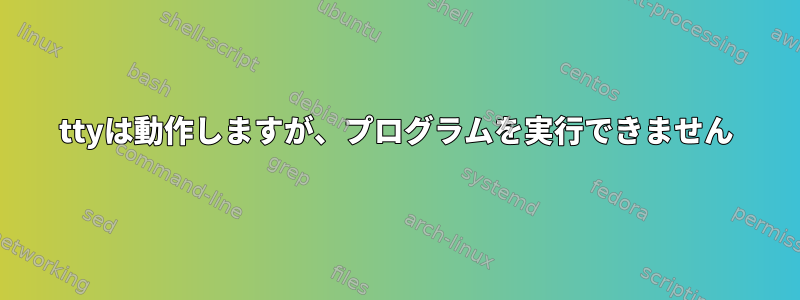 ttyは動作しますが、プログラムを実行できません