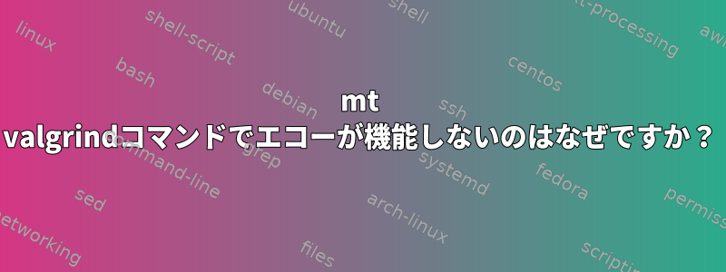 mt valgrindコマンドでエコーが機能しないのはなぜですか？