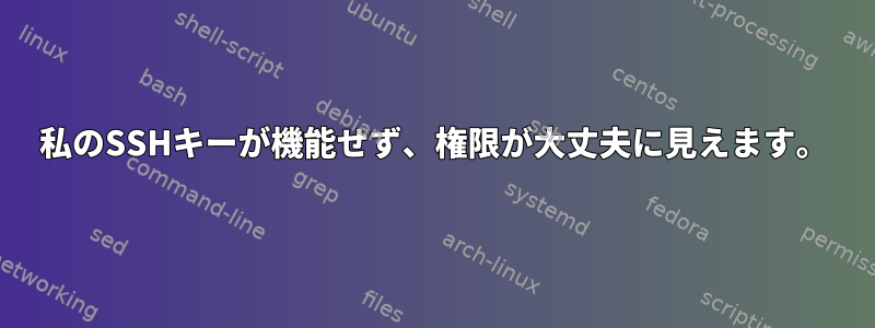 私のSSHキーが機能せず、権限が大丈夫に見えます。